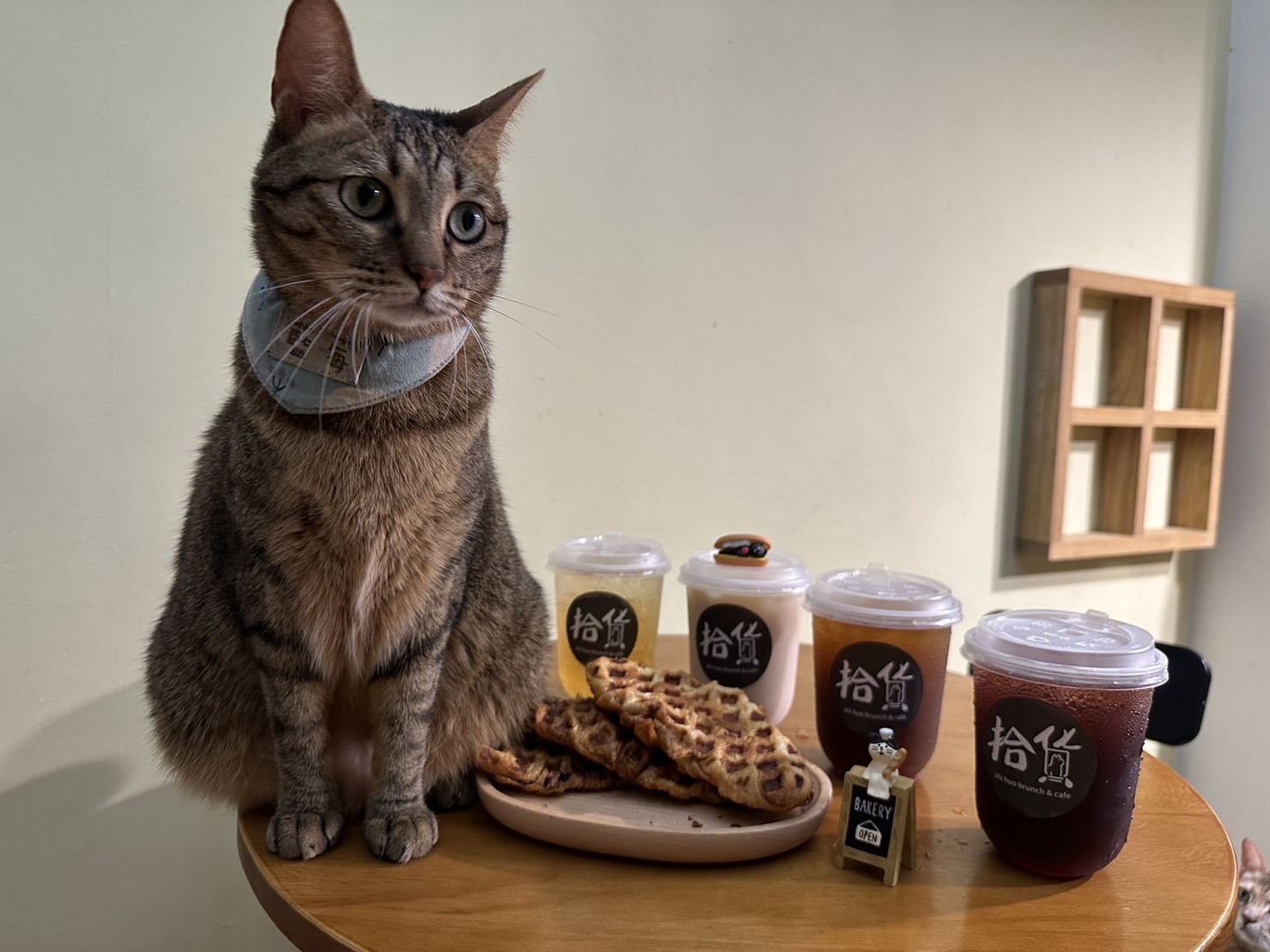 OP 開店包｜雙北咖啡廳特輯